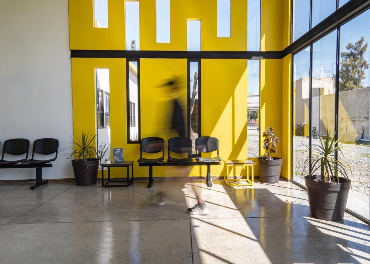 Check Inn Hostal Aeropuerto Gdl Las Pintas Zewnętrze zdjęcie